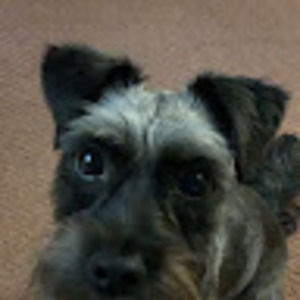 Meet your Posher, Jeffrey